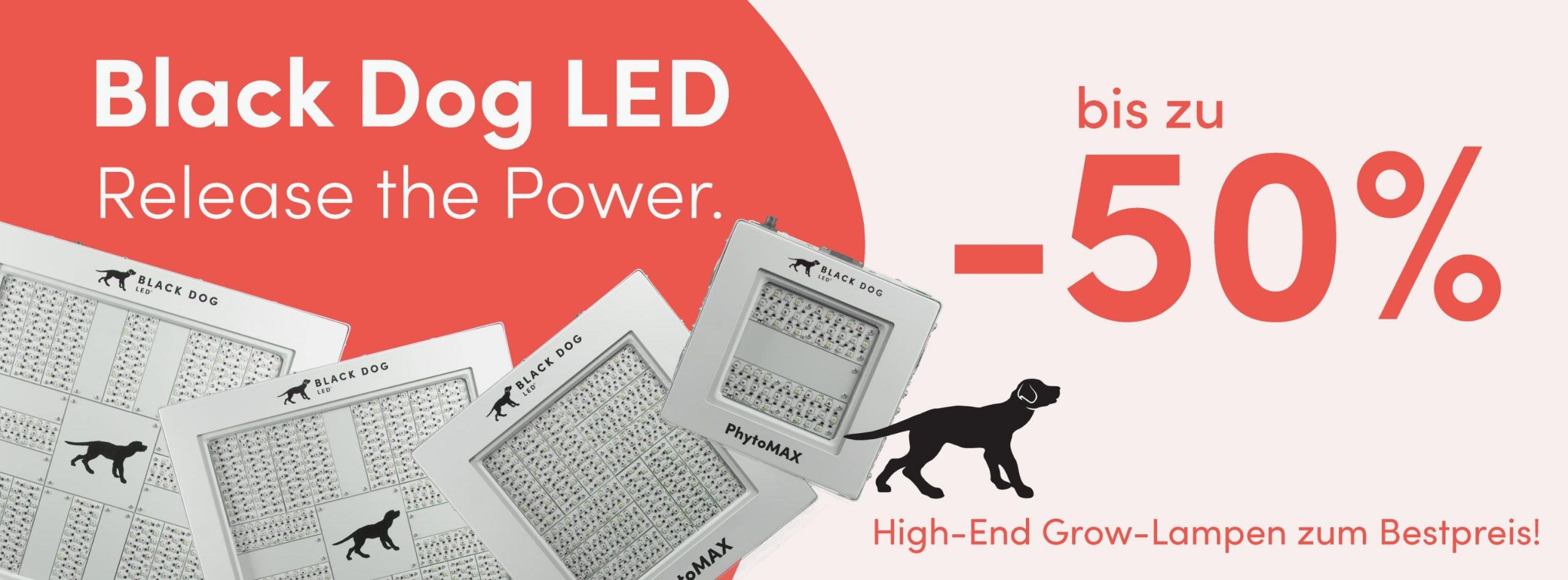 signal-2025-12-28-165116_003